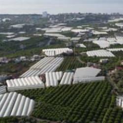 Havaların soğudu fiyat arttı: Bahçede 35, markette 60 lira