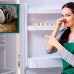 Buzdolabına tuz koymak ne işe yarar? Kötü kokuyu ve nem sorununu ortadan kaldıran o basit tüyo! 