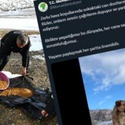 CHP'li Mamak'ta belediye personeli k&ouml;pekleri barınakta değil sokakta besliyor