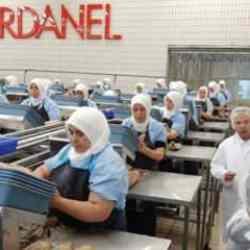 Dardanel yabancılara satılıyor 