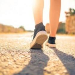 D&uuml;zenli y&uuml;r&uuml;y&uuml;ş &ouml;mr&uuml; uzatabilir