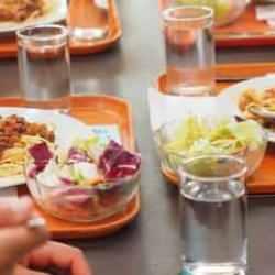 Gıda işletmelerine yönelik kılavuzda "vejetaryen" ve "vegan" kavramları öne çıktı