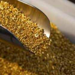 Keşfedilmiş en büyük altın rezervi! Fiyatları bir anda artırdı! Değeri devasa boyutta!