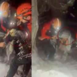 Tipide kaybolan yaşlı çift, 2 kuzusu ve 1 tavuğuna sarılmış halde bulundu