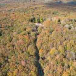 DMM'den “Belgrad Ormanı imara açılıyor” iddiasına yalanlama