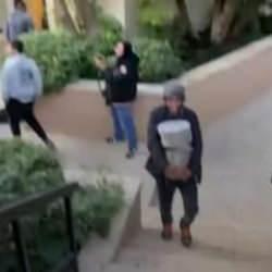 Esad'ın sarayında yağma izdihamı