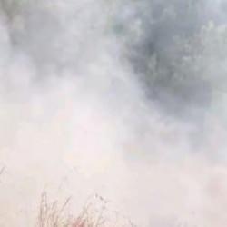 İskenderun'da ormanlık alanda yangın