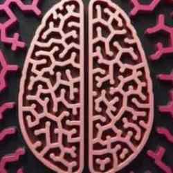 Oxford yılın terimini açıkladı! Gençler için çarpıcı gerçeği ortaya koyuyor...