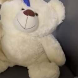 Oyuncak ayının içerisinden zehir çıktı: 3 kişi gözaltında!