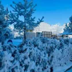 Türkiye'nin en soğuk yerleşim yeri seçildi: -23.2 dereceyi gördü!