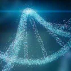 Bilim adamları erkeklerin kadınlardan neden daha az yaşadığını keşfetti!