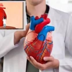 Bilim insanları kalpte mini beyin keşfetti: Kalp artık beyinden bağımsız kontrol edilebilecek