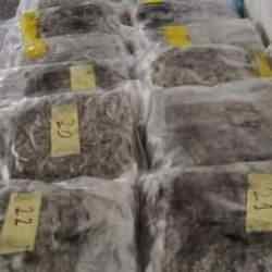 T&uuml;rkiye'ye sokulacaktı! Sınırda yakalandı