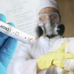 Acil durum ilan edildi: ABD’de ilk ciddi kuş gribi vakası!