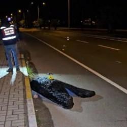 Aydın'da feci kaza: Kardeşini korumak isterken hayatını kaybetti!
