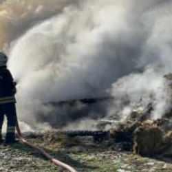 Bolu'da korkutan yangın: Alevler samanlığı ve ahır sardı, &uuml;&ccedil; b&uuml;y&uuml;kbaş telef oldu 