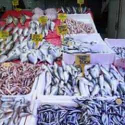 Tezgahın gözdesi hamsinin kilosu 150 TL!