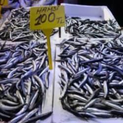 Fiyatı yarı yarıya geriledi: Tezgahta bolluk yaşanıyor