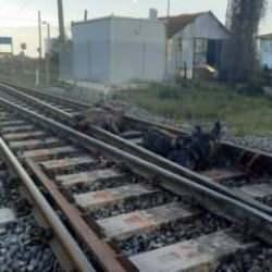 Zonguldak’ta tren, iki büyükbaş hayvana çarptı