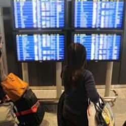 Japonya Hava Yolları’na siber saldırı! 