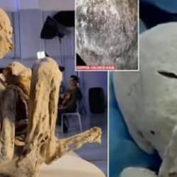 Kongrede sergilemişlerdi: İki uzaylı mumyası daha bulundu!