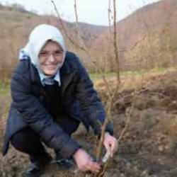 Fındık üreticilerini sevindiren haber! En büyük dertleri tarih oluyor 