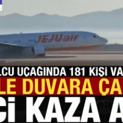 G&uuml;ney Kore'deki feci yolcu u&ccedil;ağı kazası kamerada!