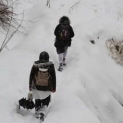 Hakkari'de okullar bir gün tatil edildi