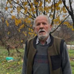 Bursa'da zirai ila&ccedil; felaketi: 80 bin n&uuml;fuslu arı birden 30 bine d&uuml;şt&uuml;