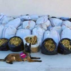 Batman'da ele ge&ccedil;irildi: Tam 3 ton 640 kilogram!