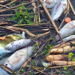 &Ccedil;evreyi kirletenlere 2026'da verilecek cezalar belli oldu