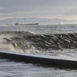 Fırtına nedeniyle Adalar'da vapur engeli