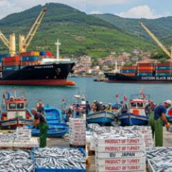 Karadeniz i&ccedil;in d&uuml;ğmeye basıldı! Ada balık&ccedil;ılığı başlıyor! 