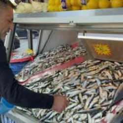 Kilosu 80 liradan satılıyor: Tezgahlar şenlendi