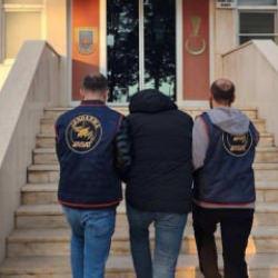 Mardin'de ilgin&ccedil; dolandırıcılık: Kargo kutusundan &ccedil;ıkan muz ile vurgun yaptı