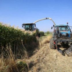 &Ccedil;ift&ccedil;iler dikkat! Tarımsal desteklerden yararlanmak isteyenler i&ccedil;in son 3 g&uuml;n...