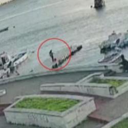 Pendik'te balığa yaklaşan kediyi tekmeleyip denize fırlattı