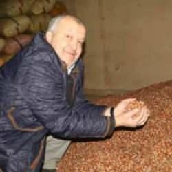 TMO fındık alımını durdurdu, serbest piyasada fiyatlar etkilendi