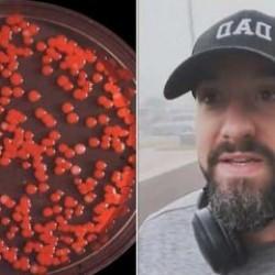 Gizemli sis ABD'yi alarma geçirdi! 1950 yılındaki korkunç olayı hatırlattı...