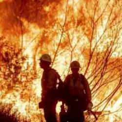 Arşivler yalan söylemez! Los Angeles yangında sessiz kalan Help Turkeyciler