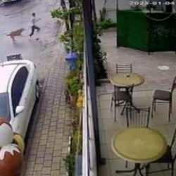 Başıboş k&ouml;pekler 14 yaşındaki &ccedil;ocuğu bacağından yaraladı