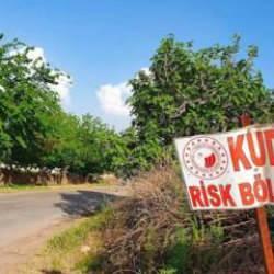 Hatay'da bir mahalle kuduz nedeniyle karantinaya alındı