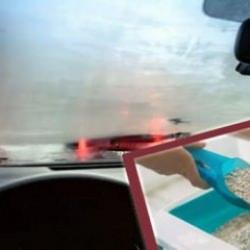 Kedi kumu ile araç camlarındaki buğulanmayı önleme hilesi: Kışın sürüş güvenliğinizi artırın!