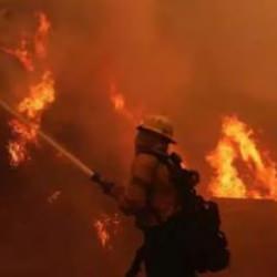 Los Angeles alev alev! Yağma olaylarına karşı uyarı!