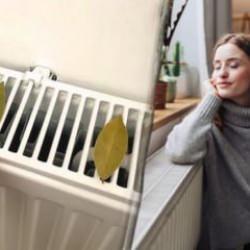 Kalorifer peteğine defne yaprağı koymak: Hem ucuz hem de sağlıklı