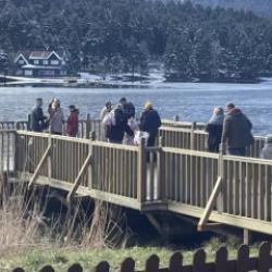 Araba park edecek yer kalmadı: G&uuml;n&uuml;birlik&ccedil;iler doğayı se&ccedil;ti