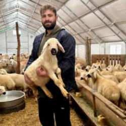 Devletten aldığı destekle gen&ccedil; yaşta besici oldu! Arkadaşları da bu işi yapmak istiyor