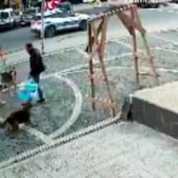 İstanbul'da başıboş köpekler dehşeti: Yoldan geçen iki vatandaşa kabusu yaşattılar