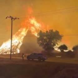 Los Angeles'taki yangın hızla yayılıyor: 30 binden fazla kişi için tahliye emri çıkarıldı