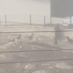 Ankara&rsquo;da korkutan g&ouml;r&uuml;nt&uuml;! Kadın canını zor kurtardı